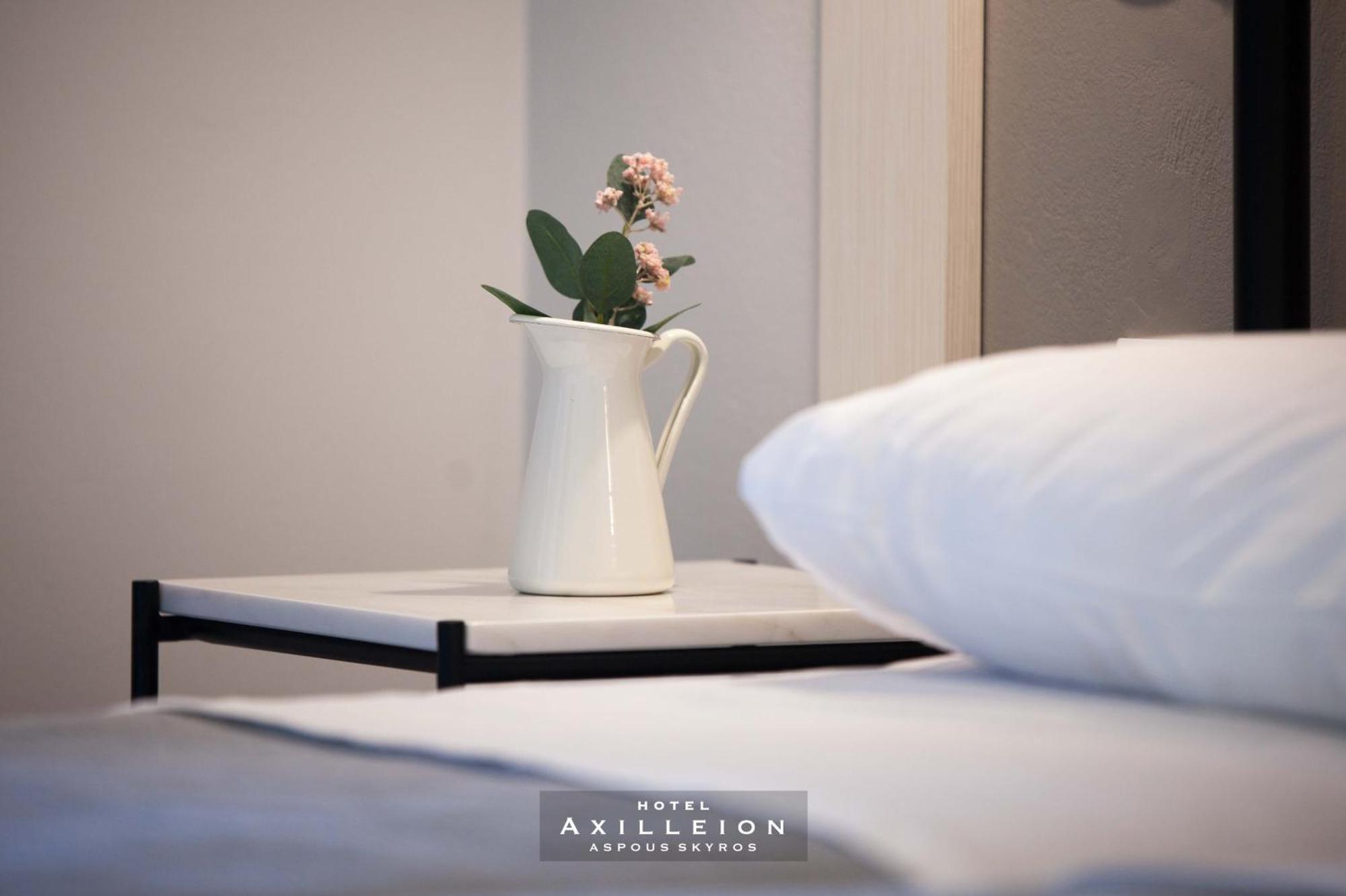 Achilleion Hotel 스키로스 외부 사진