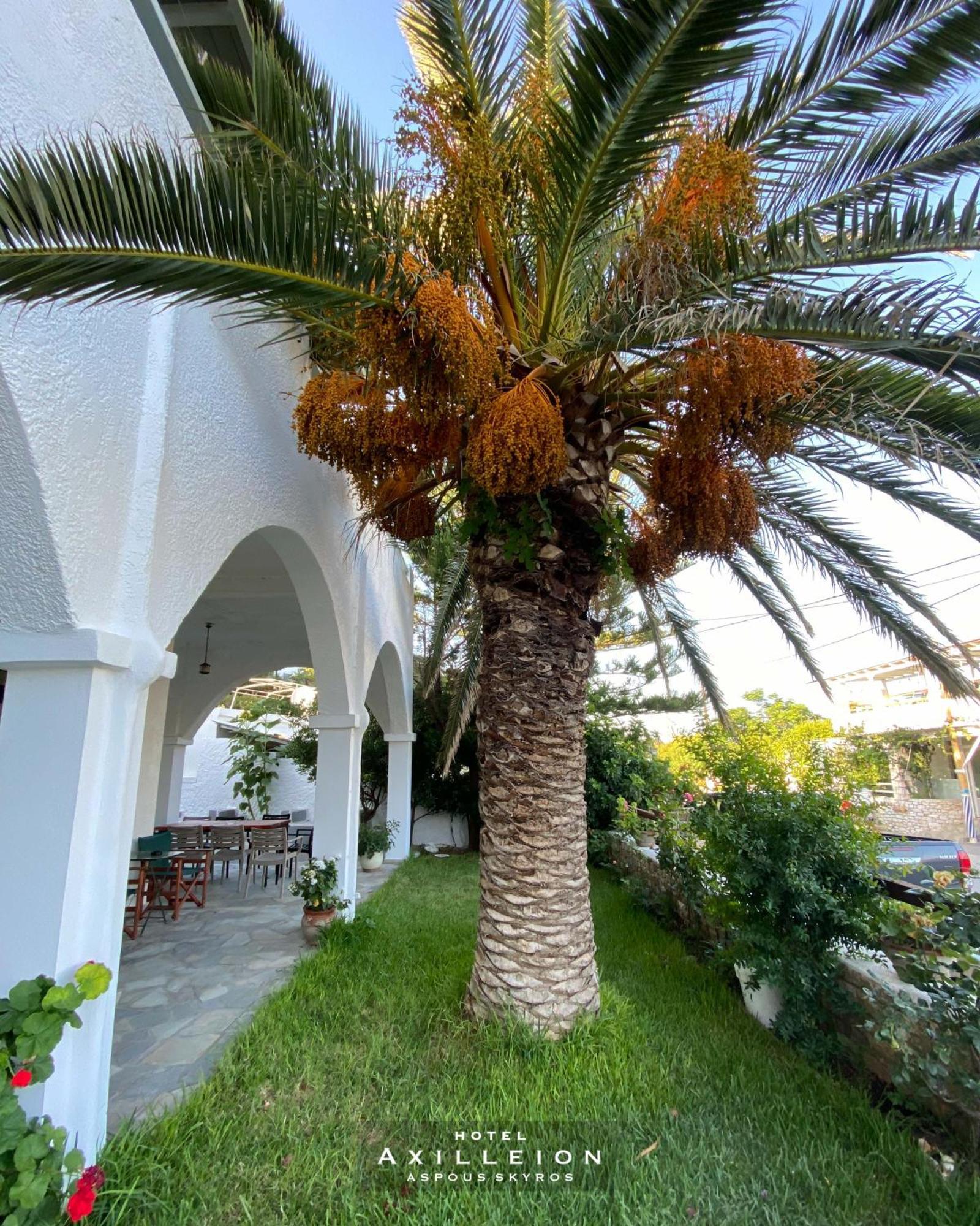 Achilleion Hotel 스키로스 외부 사진